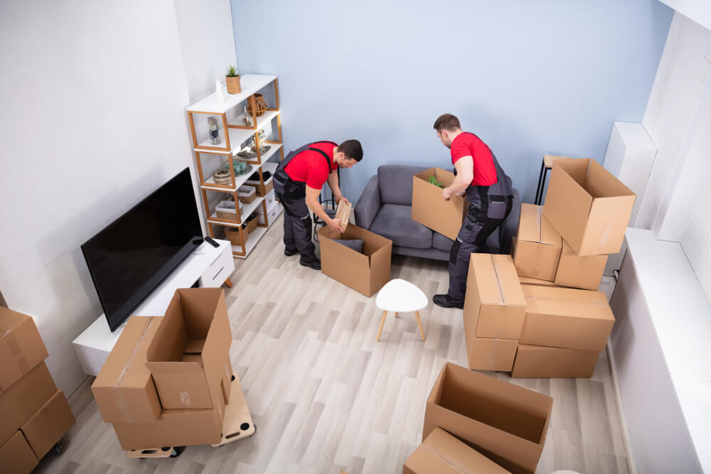 Furniture Shifting Services Meridian